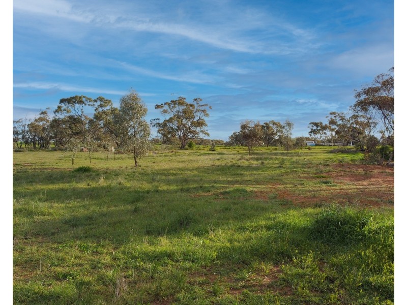 77 Donald Street, Nyah West VIC 3595