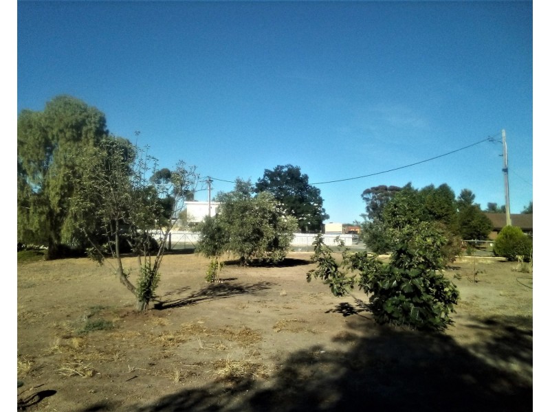 60 Tampion Avenue, Lalbert VIC 3542