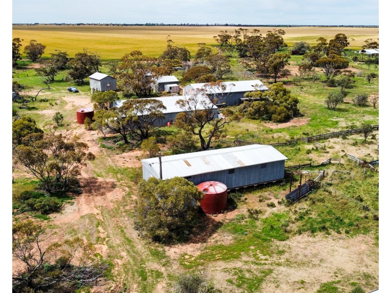 392 Millers Tank Road, Manangatang VIC 3546