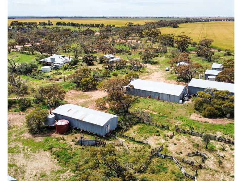 392 Millers Tank Road, Manangatang VIC 3546