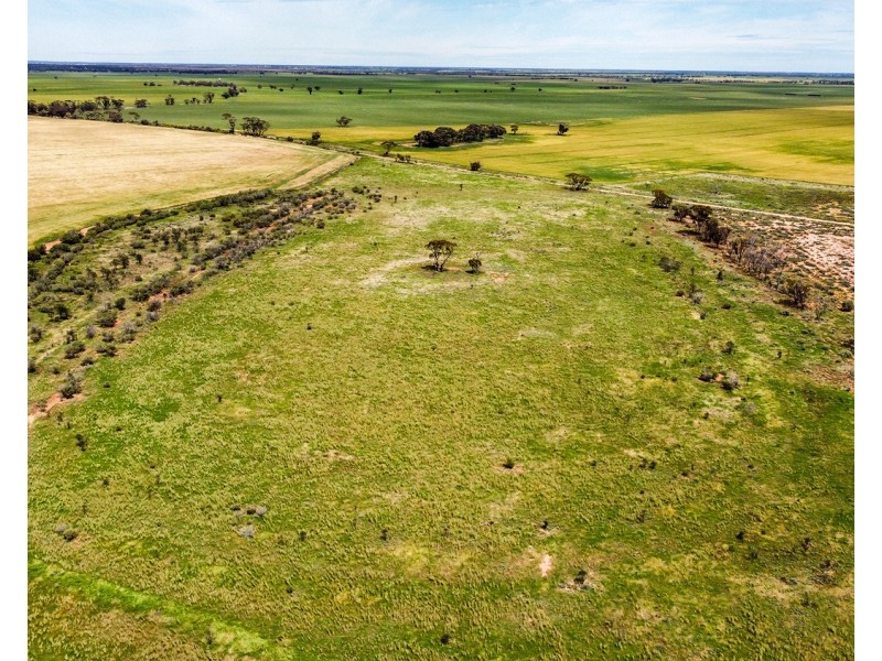 392 Millers Tank Road, Manangatang VIC 3546