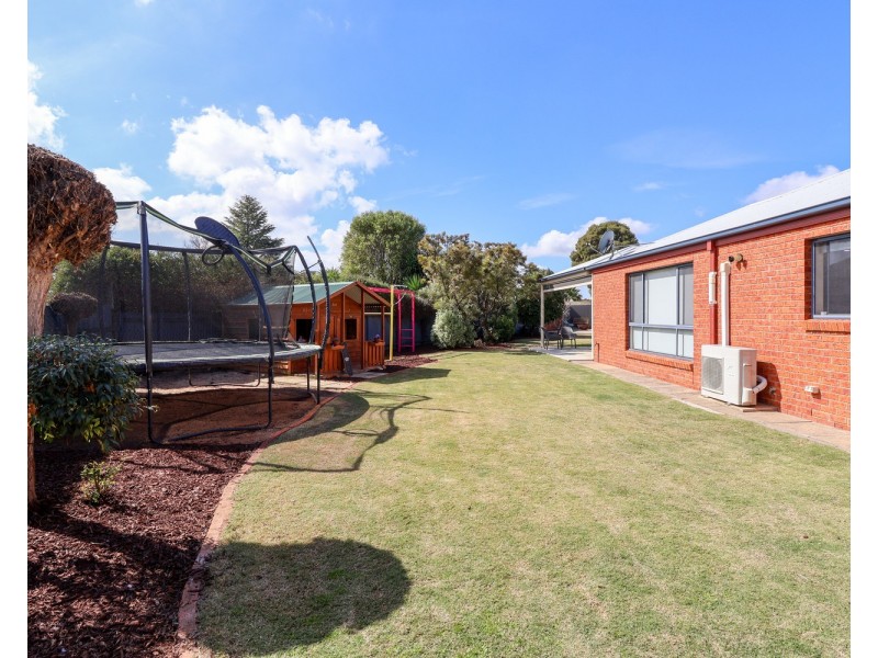 6 Wilkins Grove, Swan Hill VIC 3585