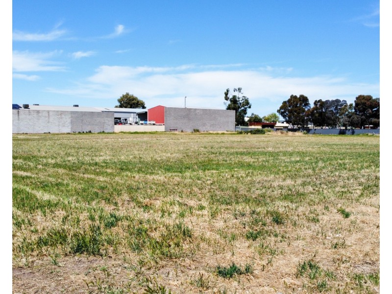 173 Karinie Street, Swan Hill VIC 3585