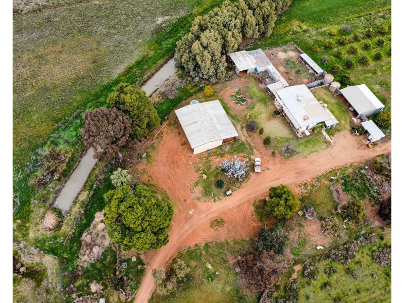 1483 Speewa Road, Koraleigh NSW 2735
