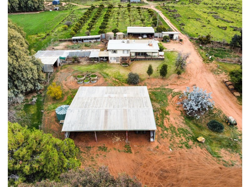 1483 Speewa Road, Koraleigh NSW 2735