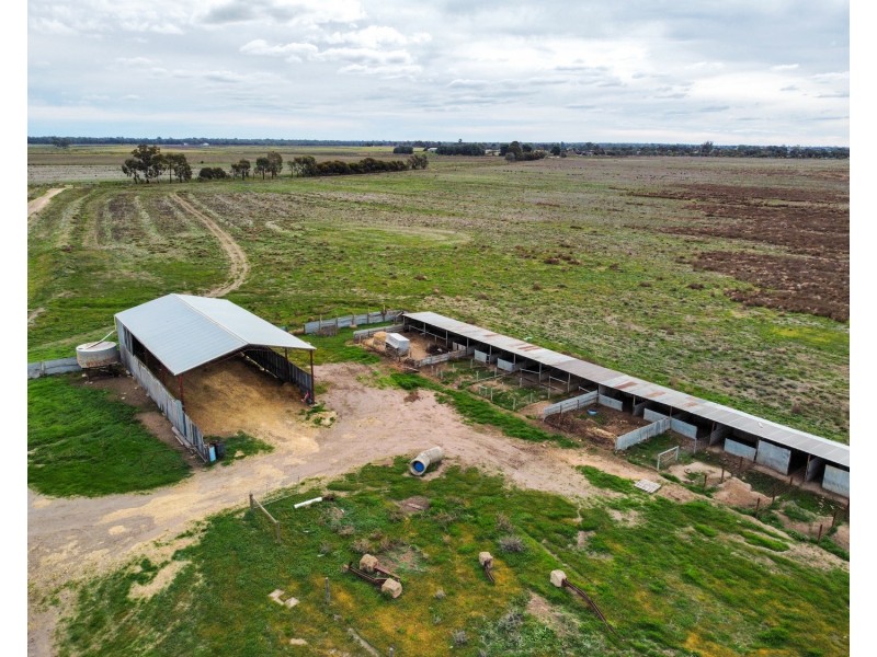 1483 Speewa Road, Koraleigh NSW 2735