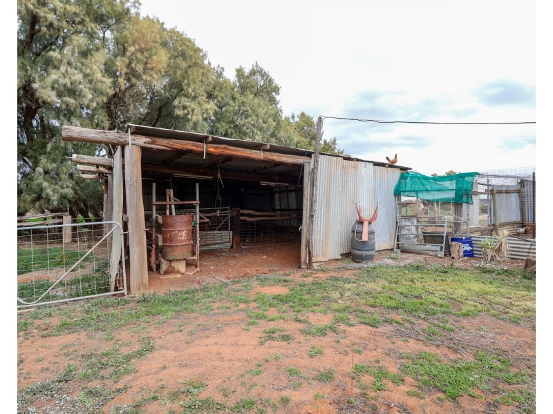 1483 Speewa Road, Koraleigh NSW 2735