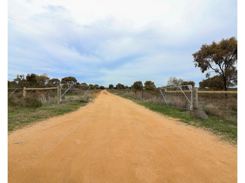 1483 Speewa Road, Koraleigh NSW 2735