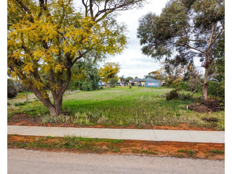 25 Monash Avenue, Nyah West VIC 3595