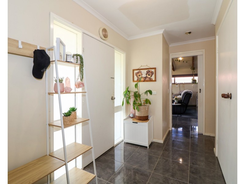 29 Wilkins Grove, Swan Hill VIC 3585