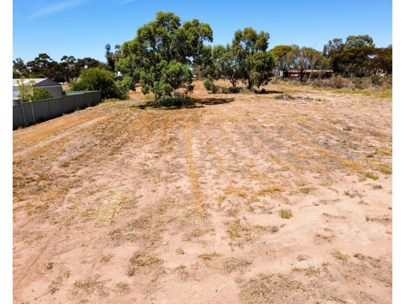 101 Stradbroke Avenue, Nyah VIC 3594