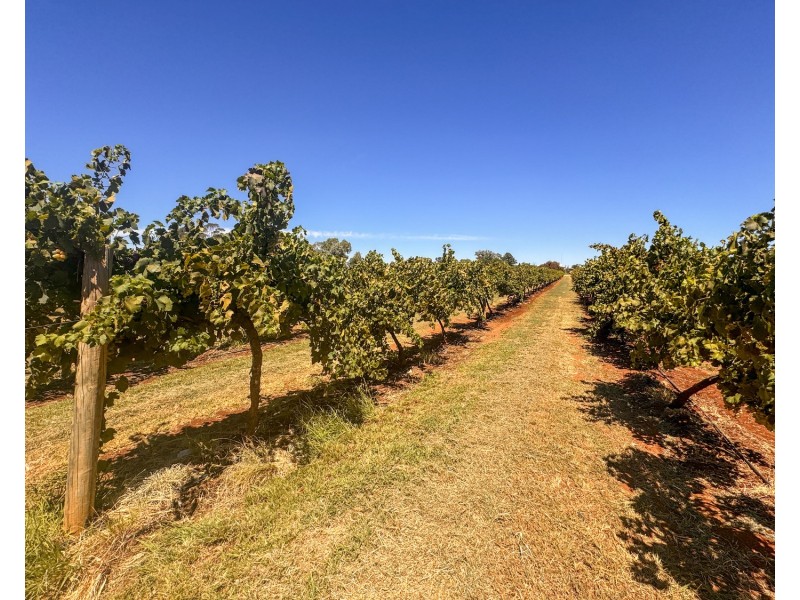 28 Hungerford Lane, Vinifera VIC 3591