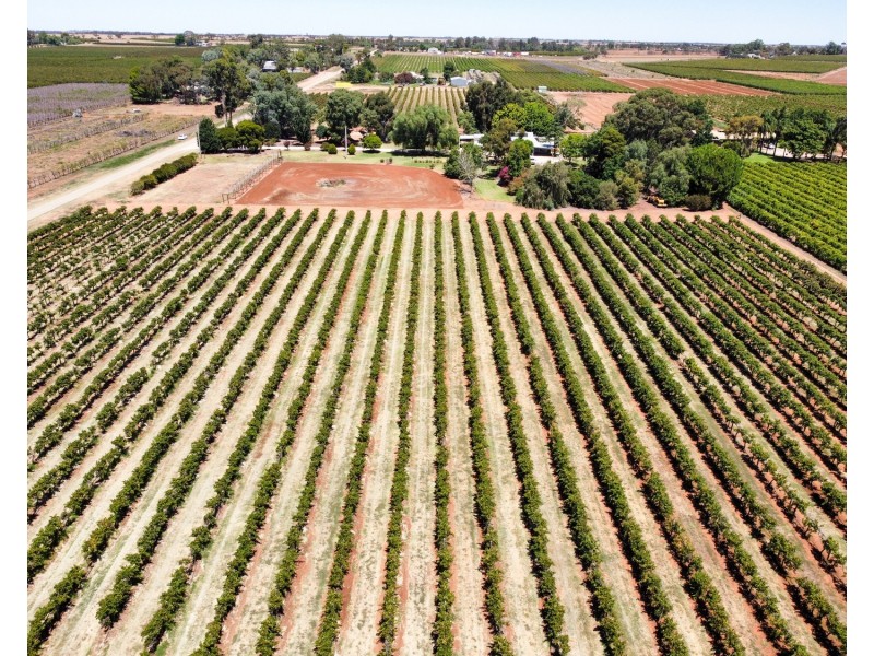 28 Hungerford Lane, Vinifera VIC 3591