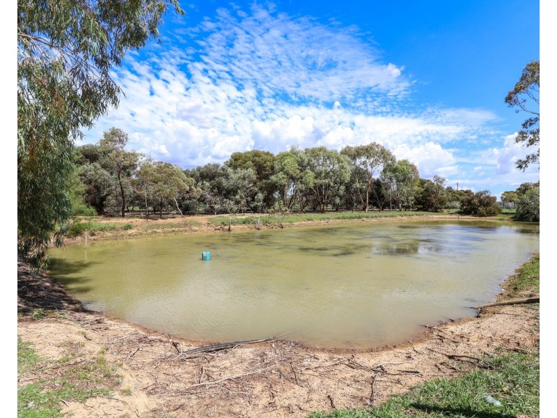 27 Felton Drive, Murray Downs NSW 3585