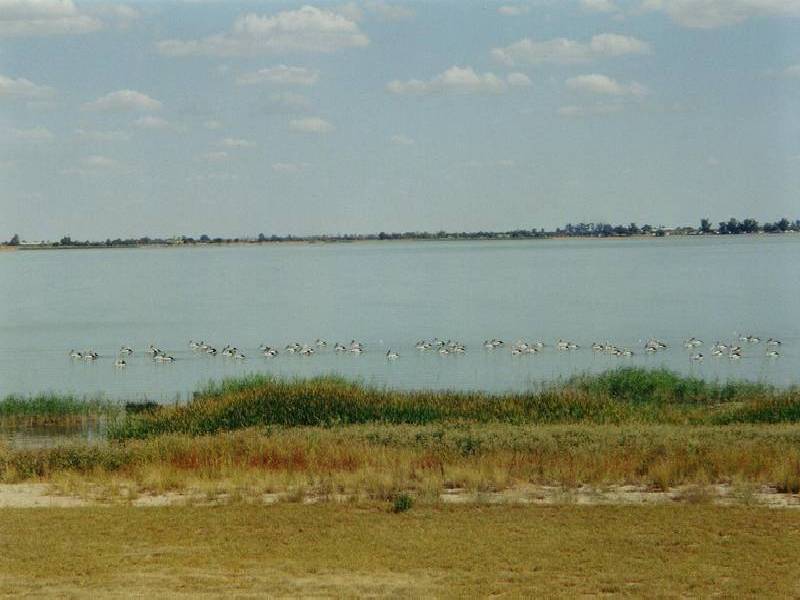 347 Lakeside Drive, Lake Boga VIC 3584