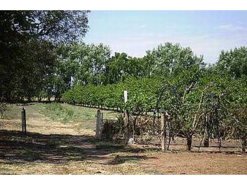 191 Gray Street, Swan Hill VIC 3585