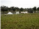 233-235 Dead Horse Lane, Swan Hill VIC 3585