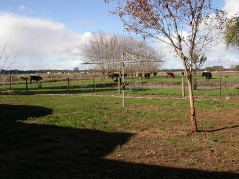 272 Speewa Punt Road, Swan Hill VIC 3585