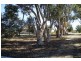 20 Ray Road, Beverford VIC 3590