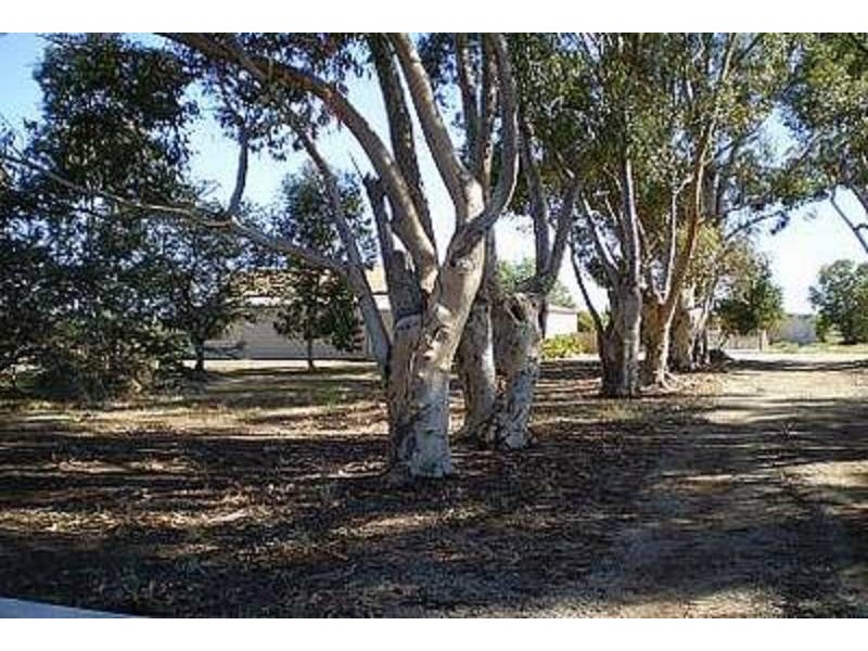 20 Ray Road, Beverford VIC 3590