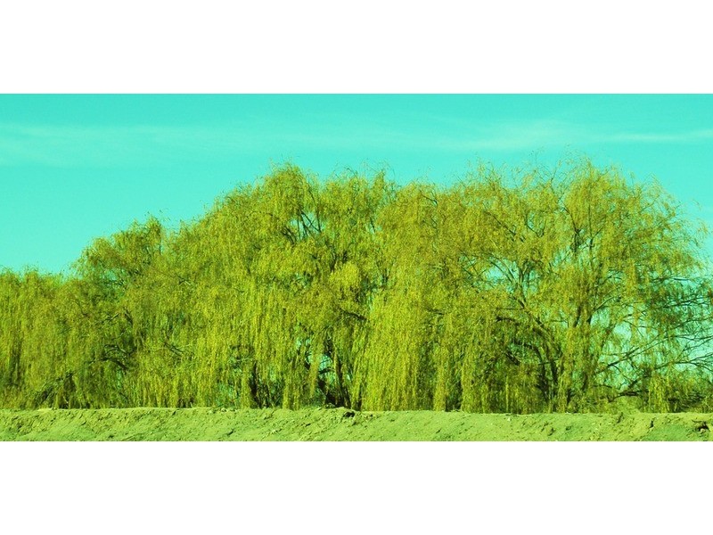 Lot 6/1 Notting Road, Swan Hill VIC 3585