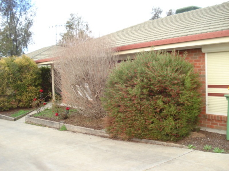 2/12 Splatt Street, Swan Hill VIC 3585