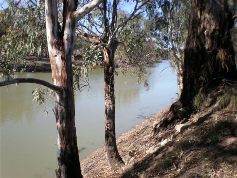 6 River Road, Kyalite NSW 2734