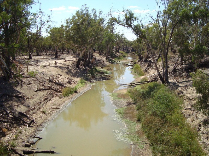 Lot 1 Cunninyeuk Road, Mallan NSW 3586