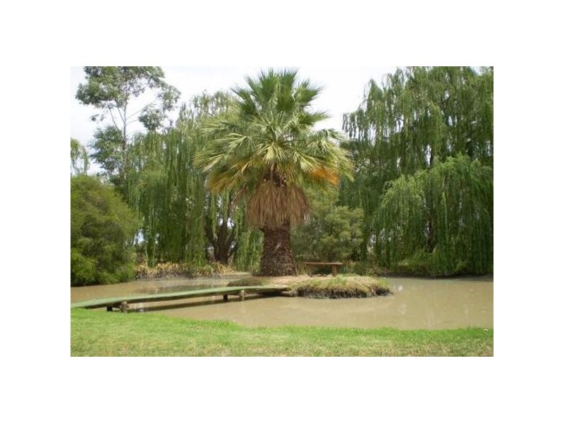 24 Yana Street, Swan Hill VIC 3585