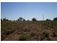 Lot 19 Murray Valley Highway, Lake Boga VIC 3584