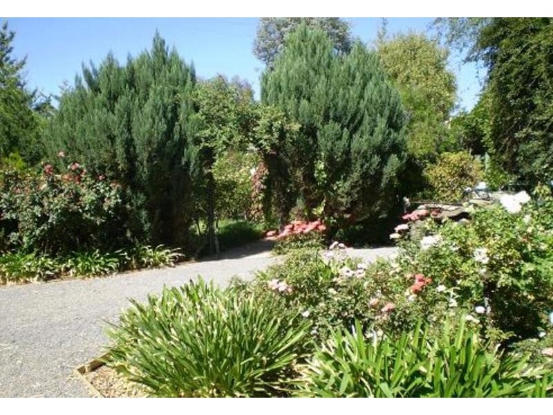 0 Cnr Lockhart Rd And Etona Lane, Goodnight NSW 2736