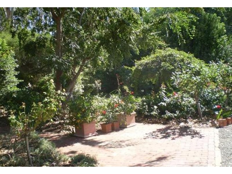 0 Cnr Lockhart Rd And Etona Lane, Goodnight NSW 2736