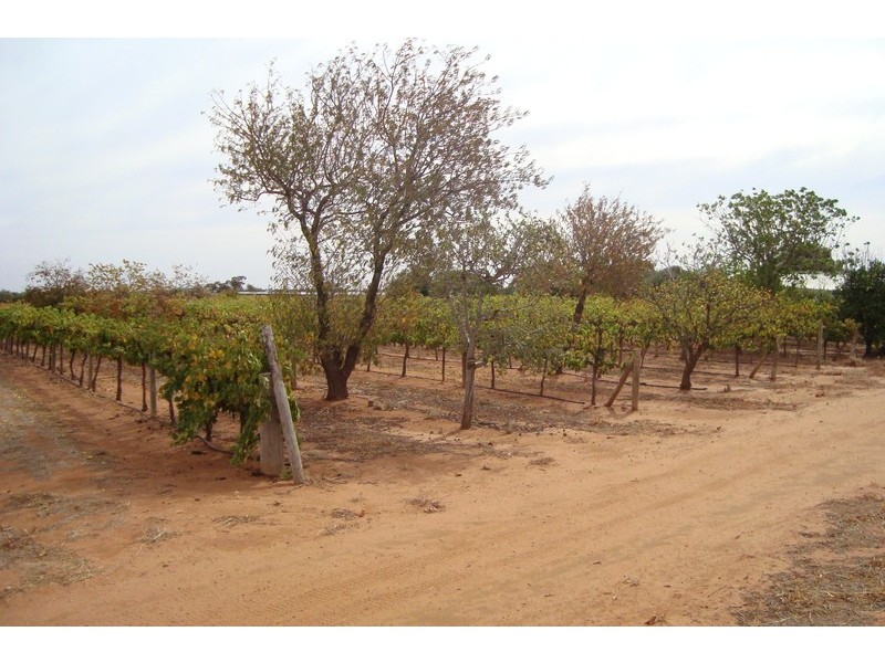 26 Titford Road, Tresco VIC 3583