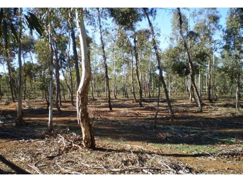 4823 Murray Valley Highway, Castle Donnington VIC 3585