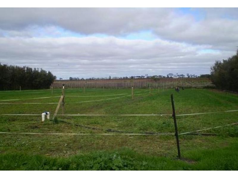 149 Scown Road, Lake Boga VIC 3584