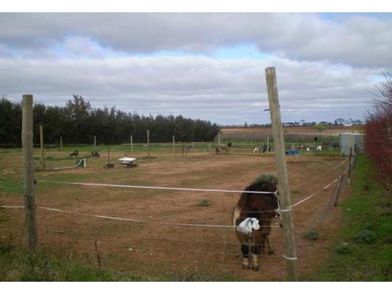 149 Scown Road, Lake Boga VIC 3584