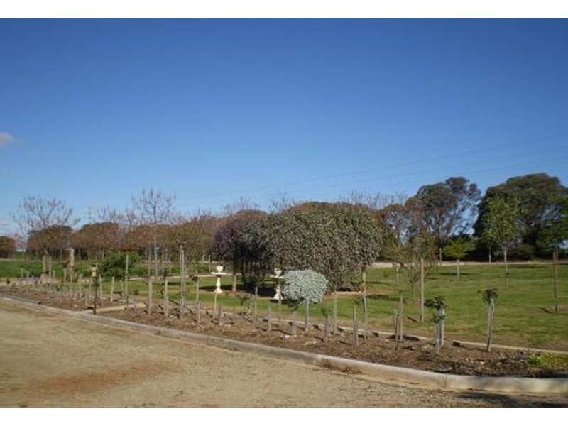 4462 Murray Valley Highway, Swan Hill VIC 3585