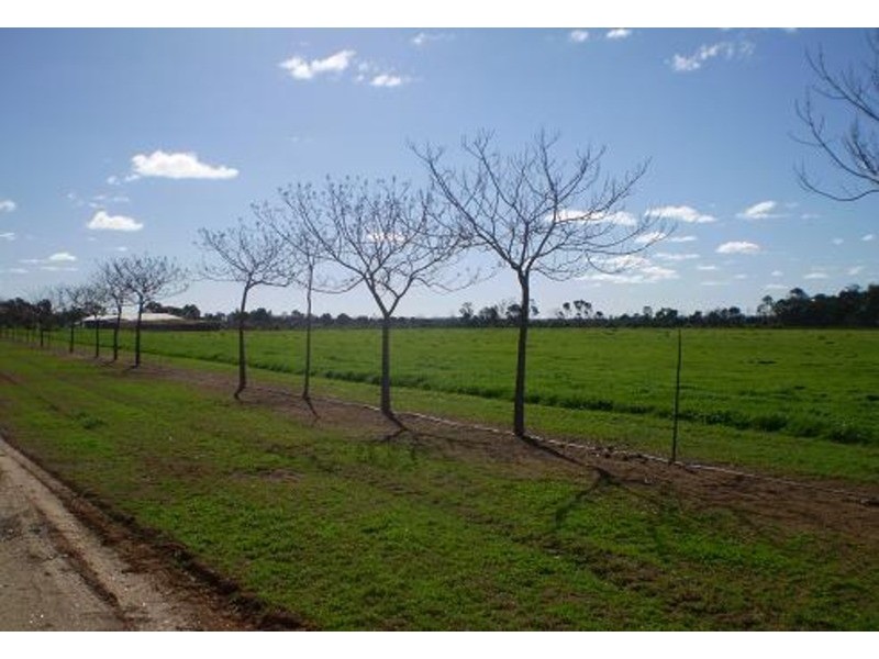 4462 Murray Valley Highway, Swan Hill VIC 3585