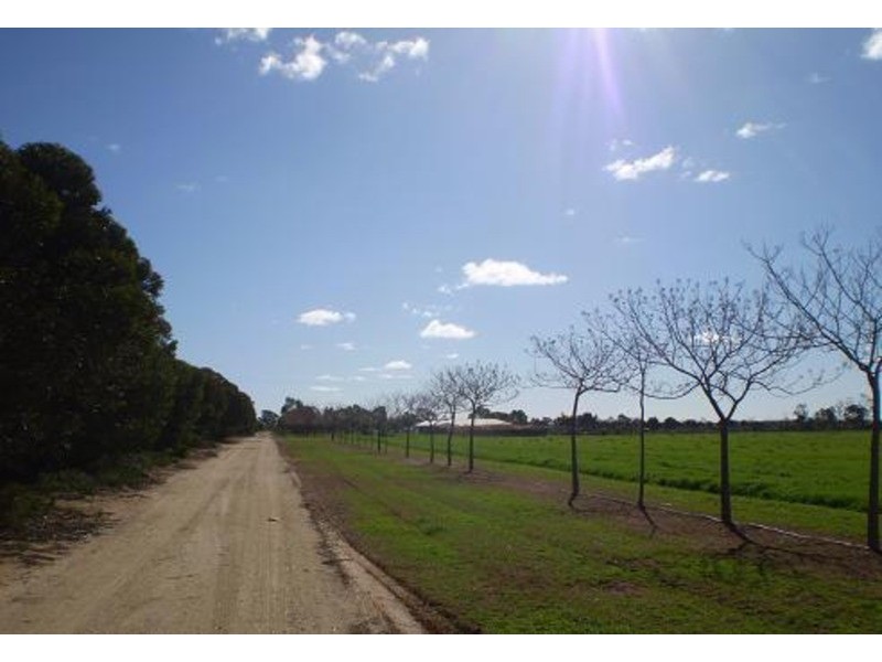 4462 Murray Valley Highway, Swan Hill VIC 3585