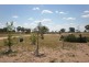 64 Murray Valley Highway, Lake Boga VIC 3584