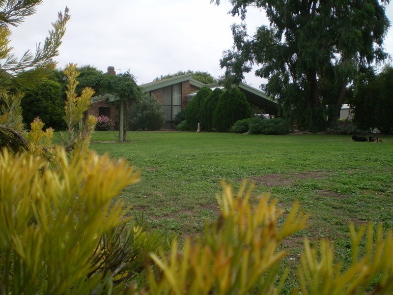 77 River Road, Swan Hill VIC 3585