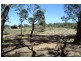 120 Church Road, Nyah VIC 3594