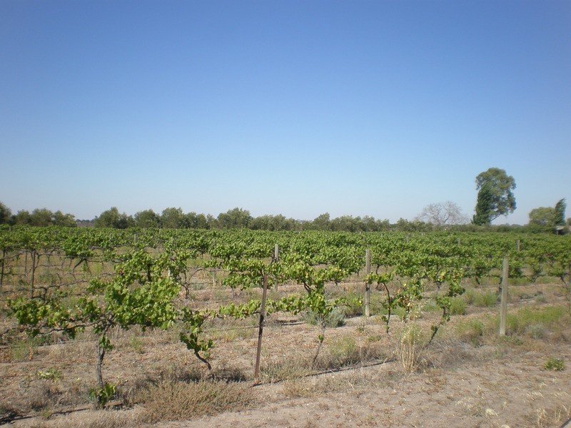 9 Eagles Lane, Koraleigh NSW 2735