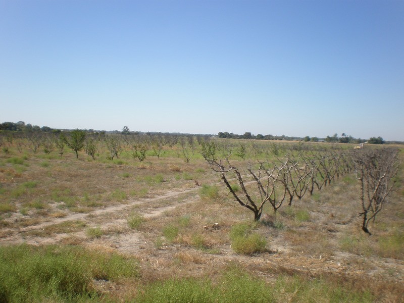 9 Eagles Lane, Koraleigh NSW 2735