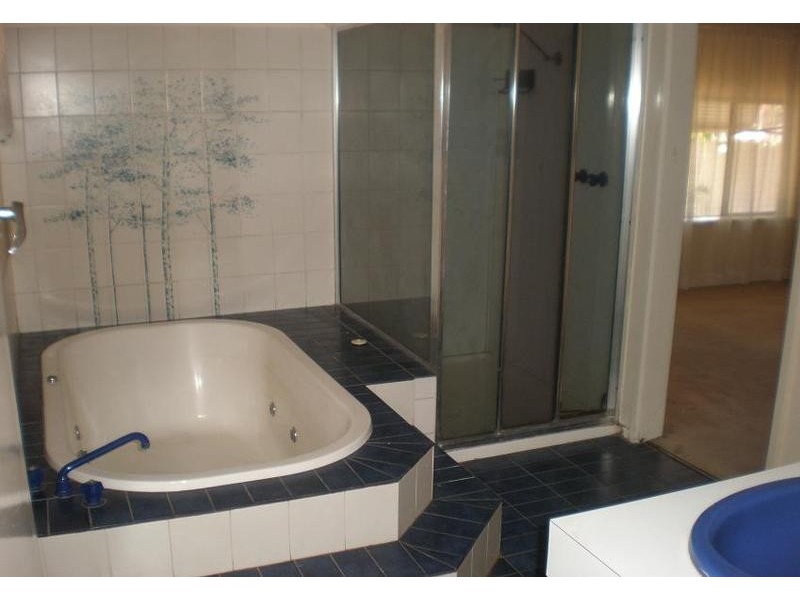 17 Standen Street, Swan Hill VIC 3585