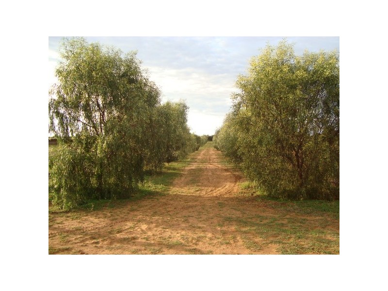 75 McGregor Lane, Vinifera VIC 3591