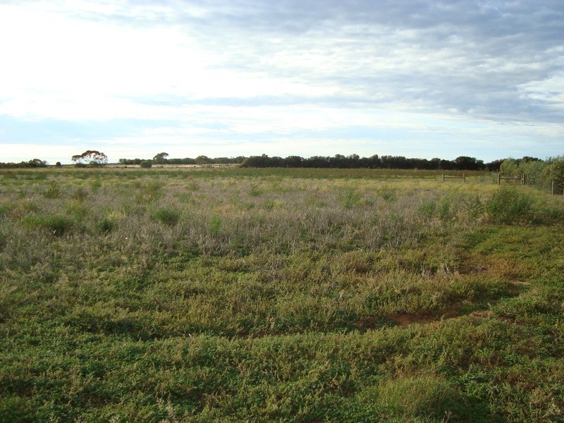 75 McGregor Lane, Vinifera VIC 3591