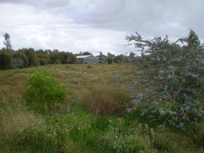 2 Evonne Close, Swan Hill VIC 3585