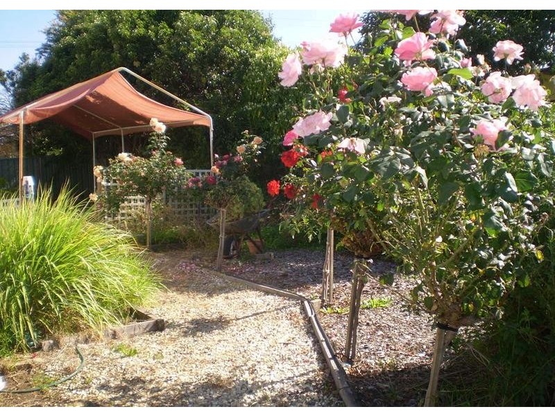 105 Murlong Street, Swan Hill VIC 3585