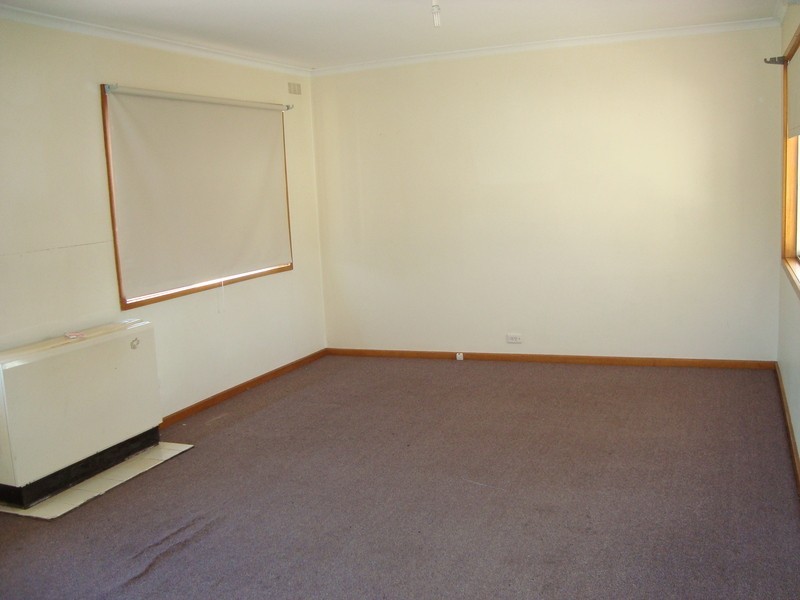 3  Chaplin Street, Swan Hill VIC 3585